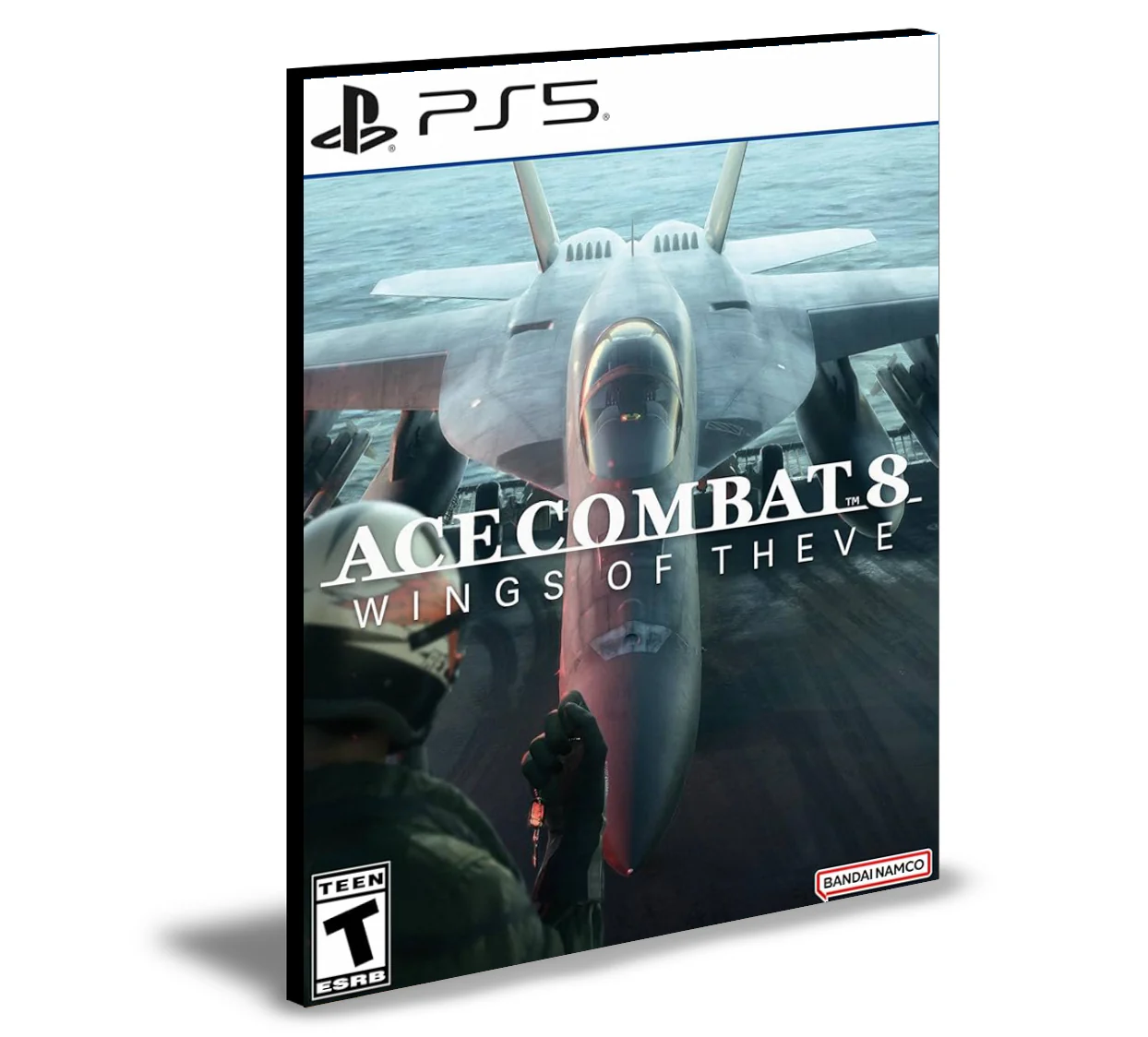 ACE COMBAT 8 WINGS OF THEVE Ps5 Mídia Digital